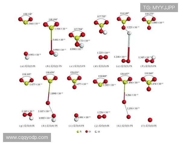 西安排球队在锦标赛中的速度表现分析与点评