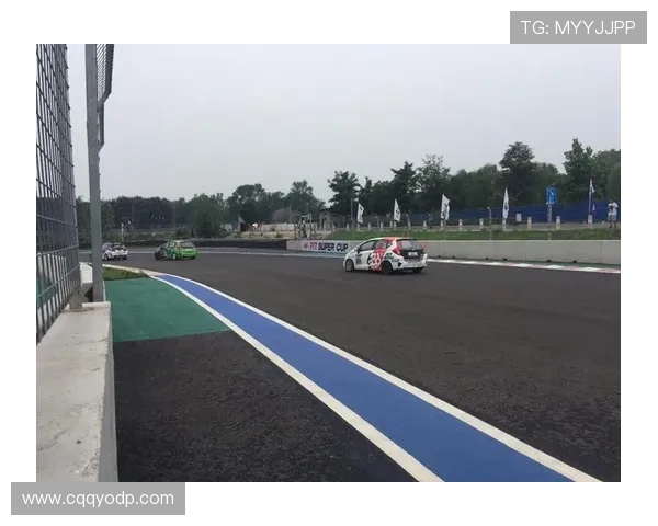 北京乒乓球队耐力革命引发热议运动员训练新模式探讨